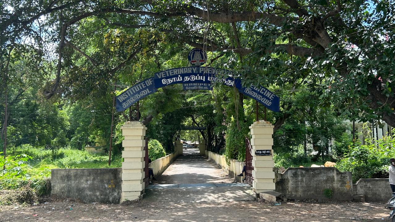 Basic Bacteriology Techniques background